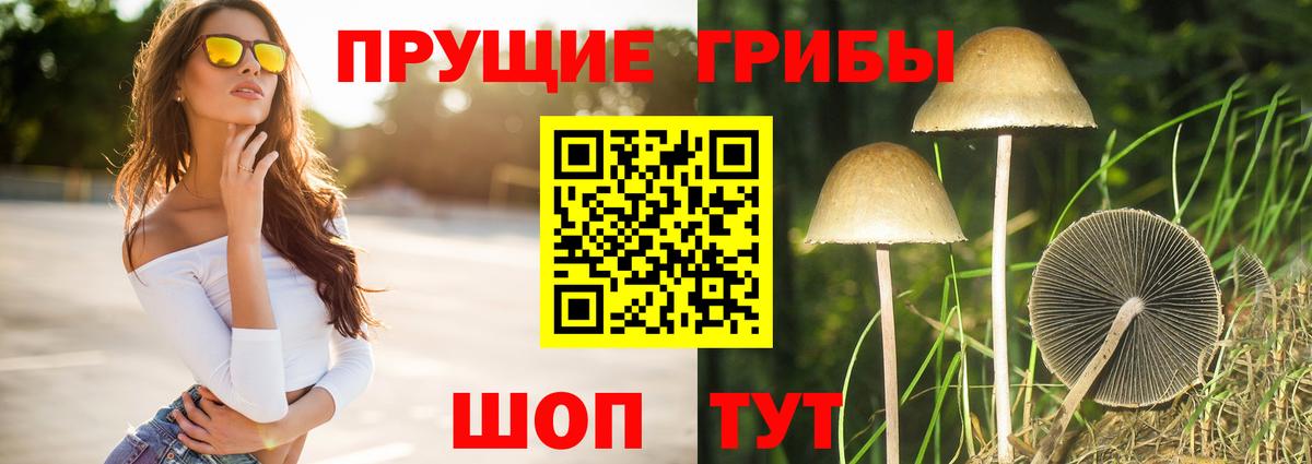 Зима  Псилоцибиновые грибы Magic Shrooms  Вход с VPN 