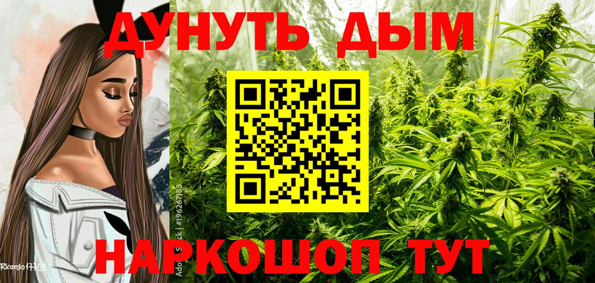 Шишки марихуана тримм  Марихуана ГИДРОПОН  Зима  Вход с VPN  Конопля VHQ  Бошки марихуана AK-47 